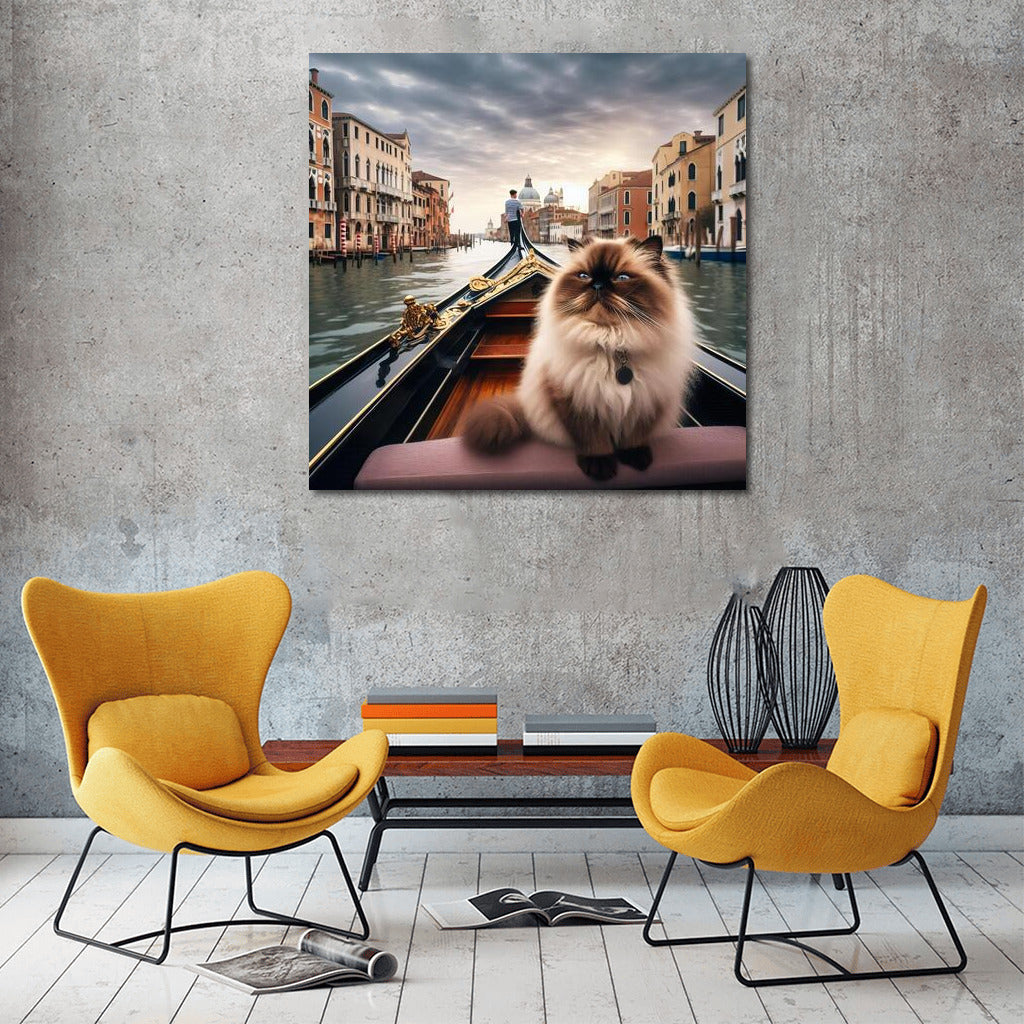 Himalayan Cat on a Gondola: Venetian Idyll