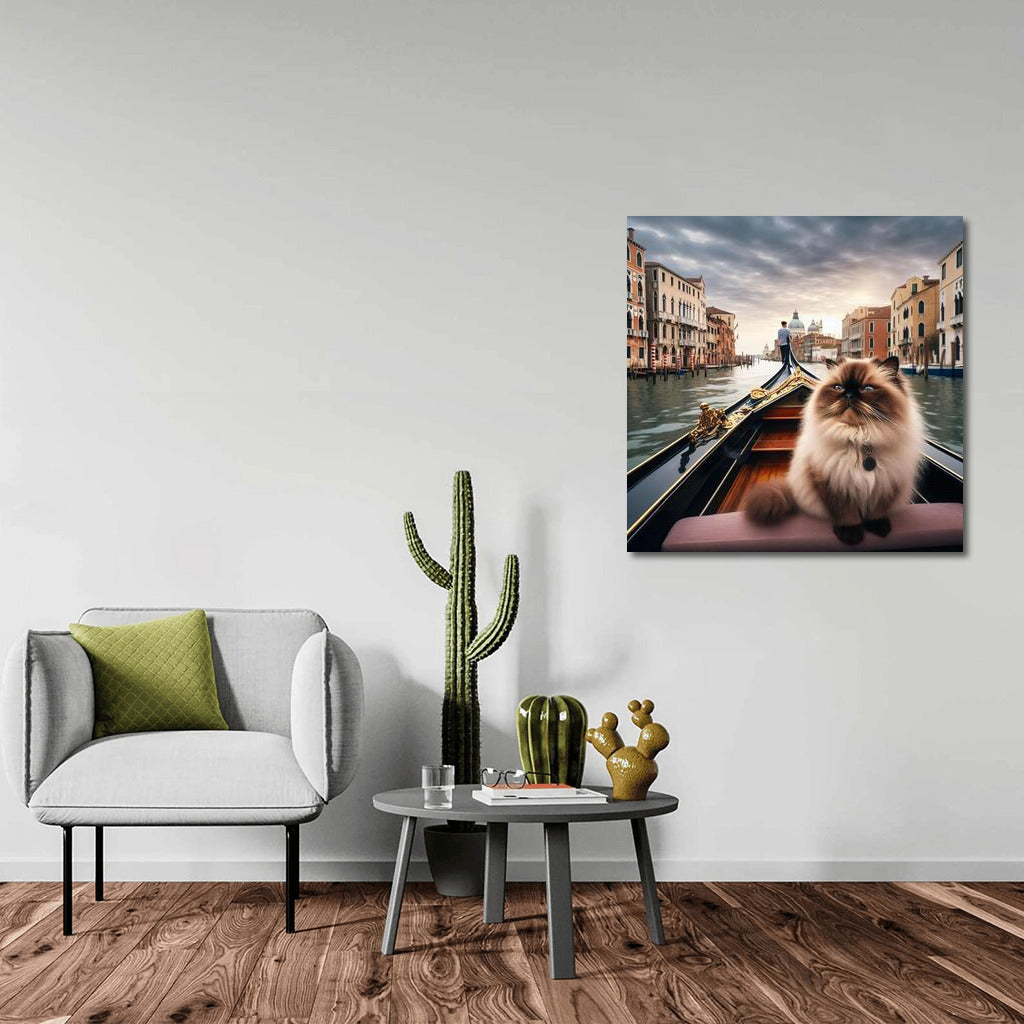 Himalayan Cat on a Gondola: Venetian Idyll