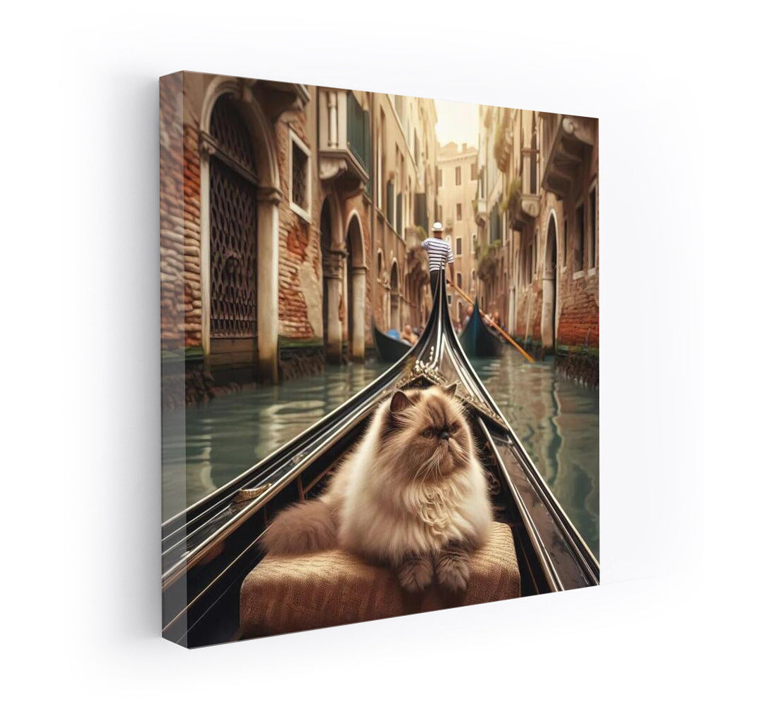 Himalayan Cat on Gondola: The Tranquility of Venice Canals