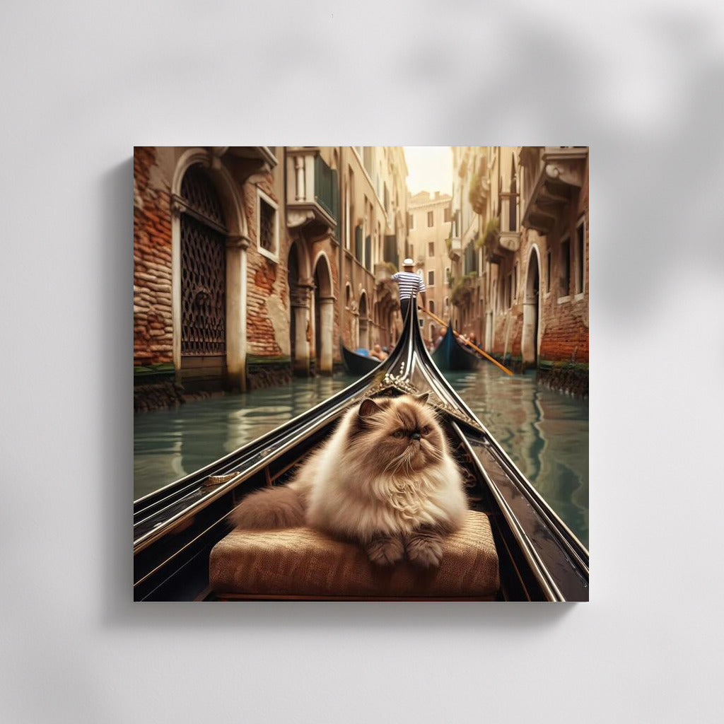 Himalayan Cat on Gondola: The Tranquility of Venice Canals