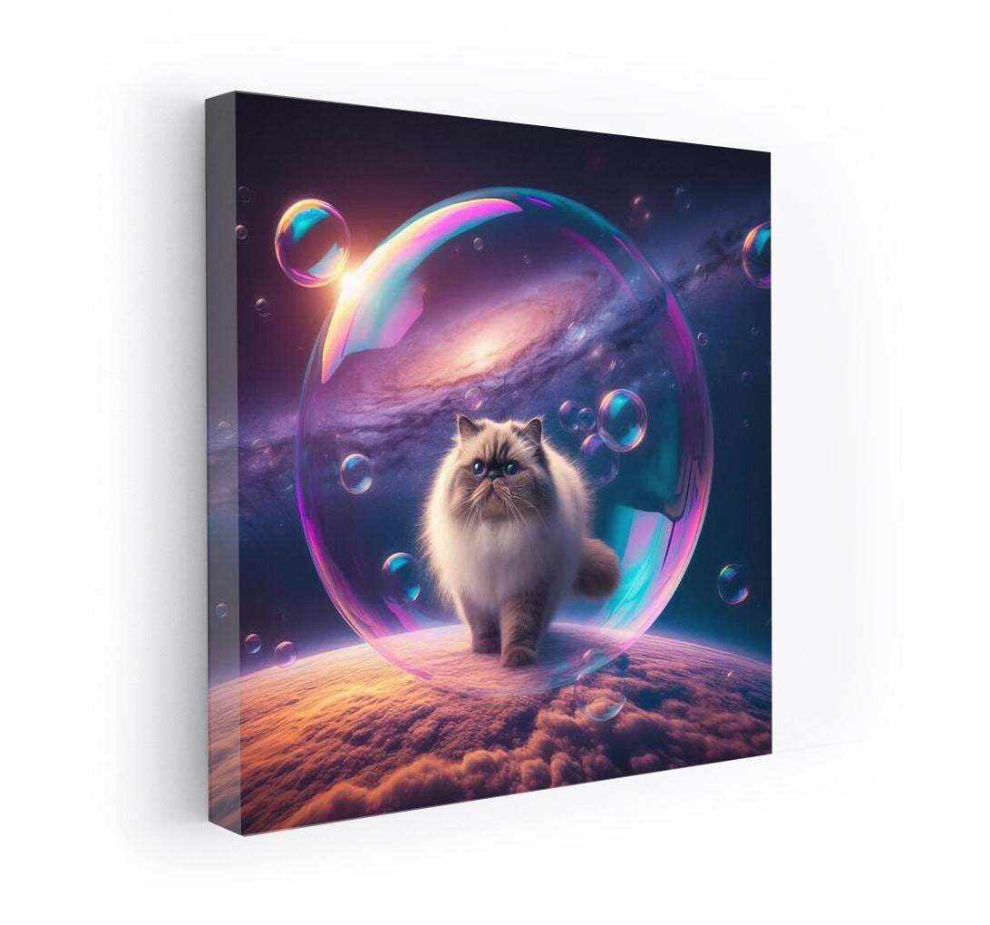 Himalayan in Space: Journey in a Soap Bubble