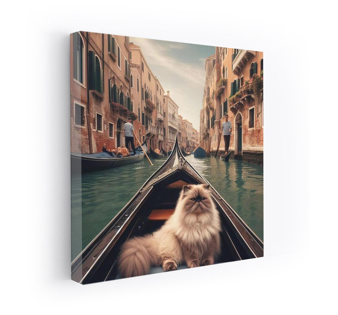 Himalayan Cat on a Gondola: A Venetian Journey