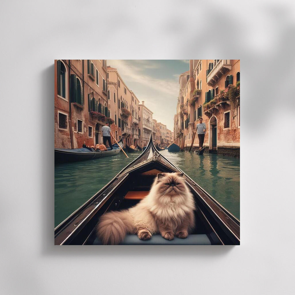 Himalayan Cat on a Gondola: A Venetian Journey