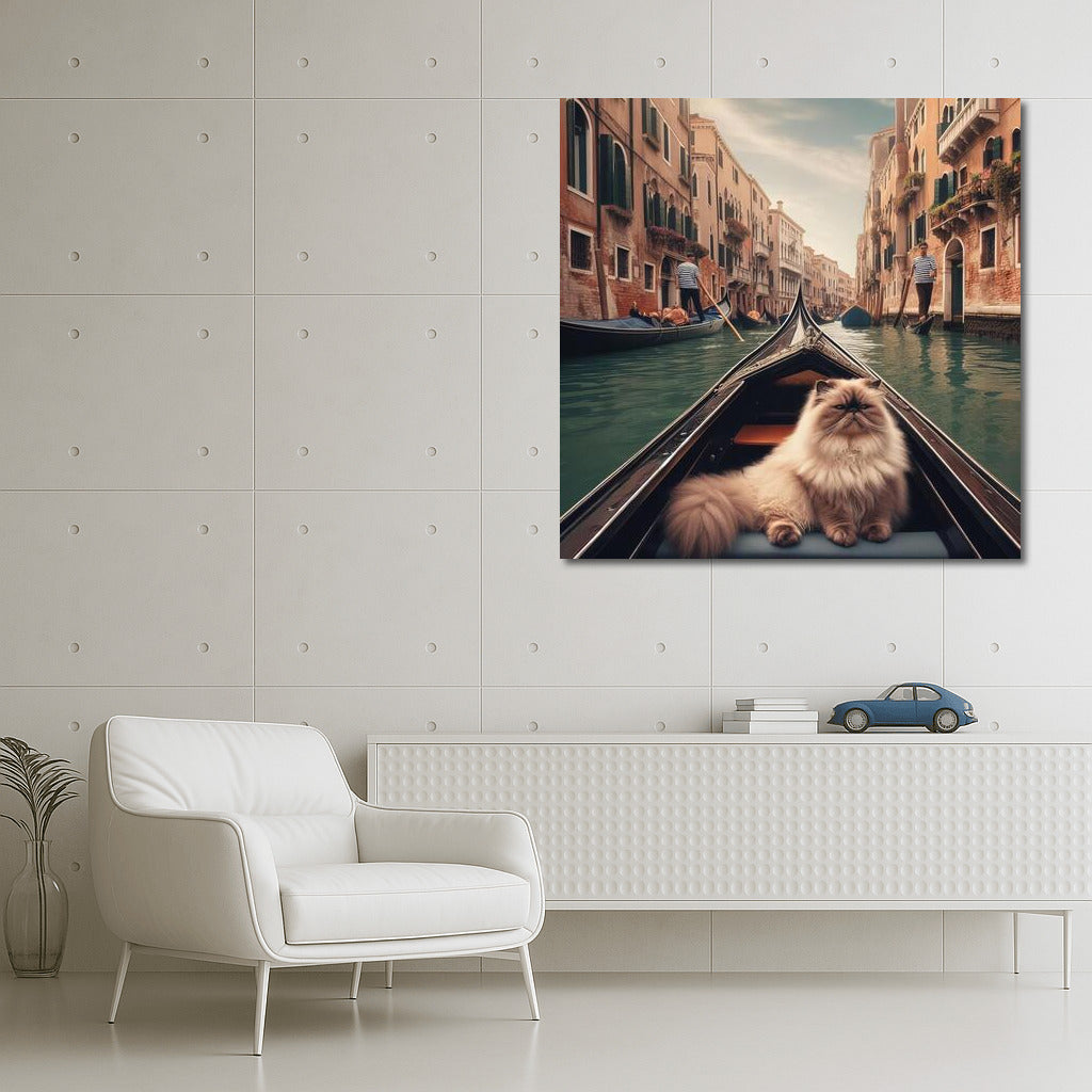 Himalayan Cat on a Gondola: A Venetian Journey