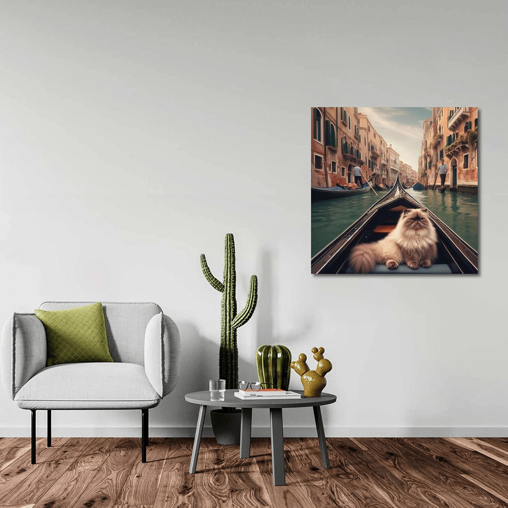 Himalayan Cat on a Gondola: A Venetian Journey