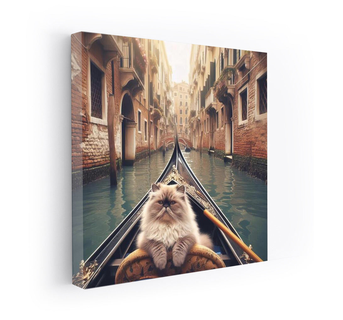 Himalayan Cat on a Gondola: Venice in Fairytale Tranquility