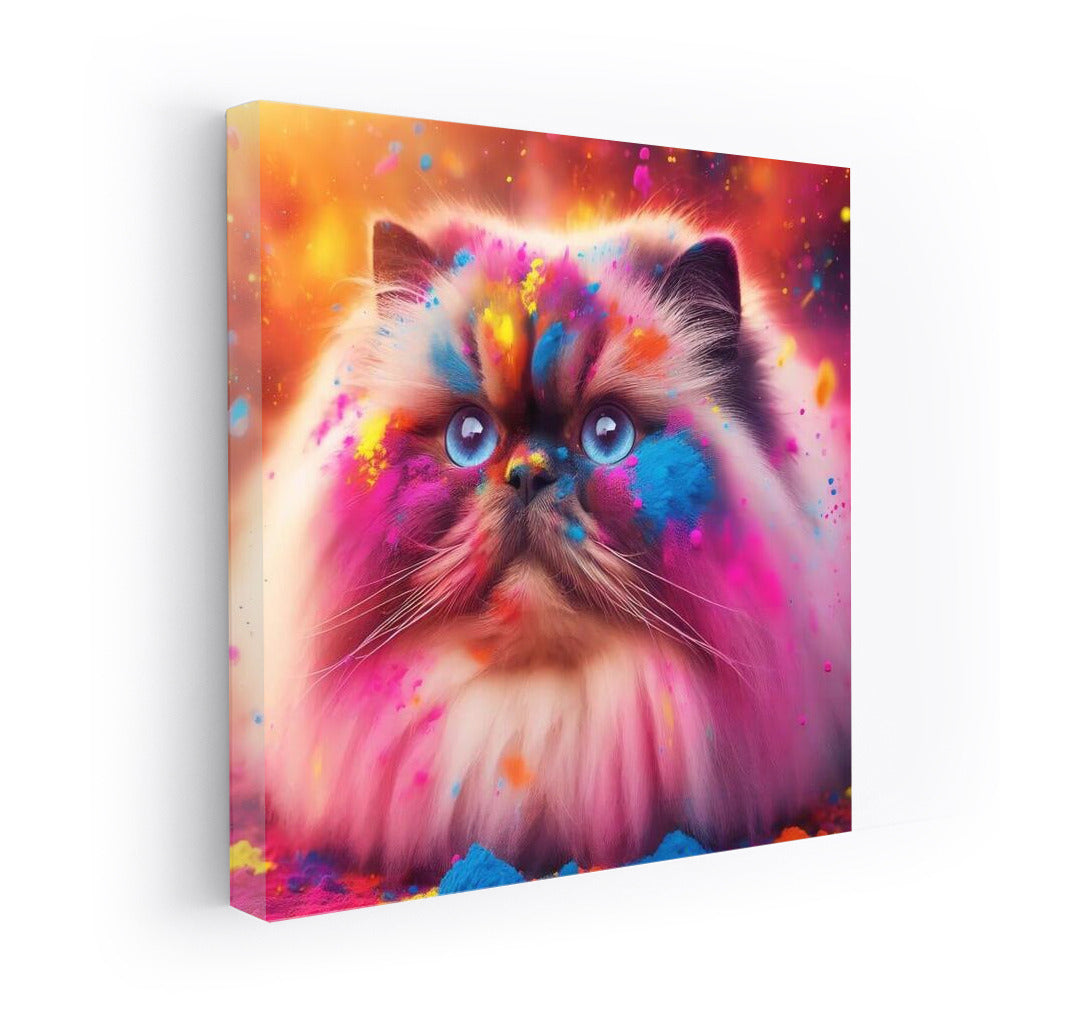Himalayan cat in a whirlwind of Holi colors