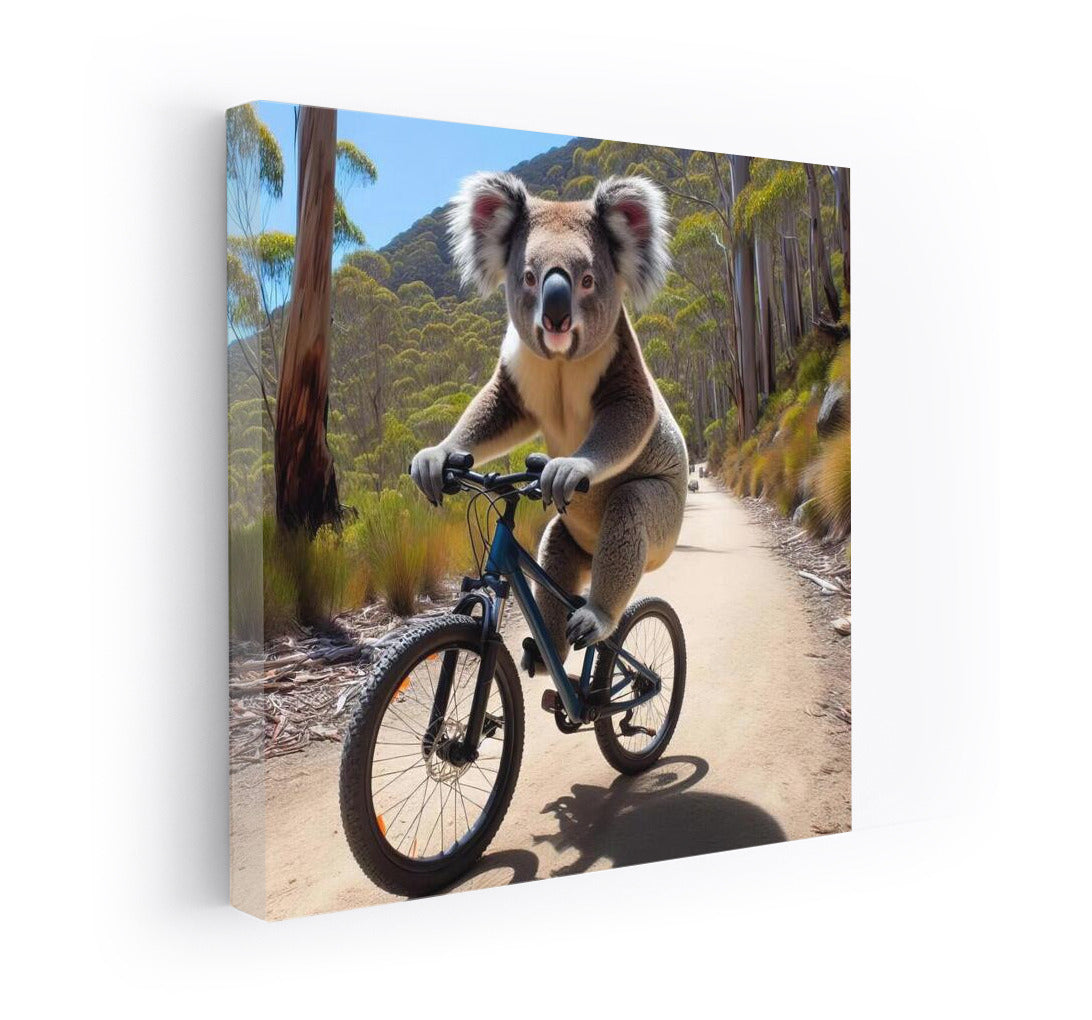 Koala's Bike Adventure: Conquering the Mountain Track
