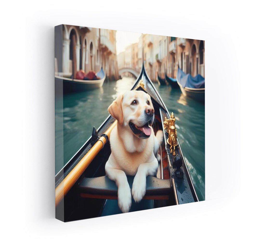 Labrador on a Gondola: The Tranquility of Venice