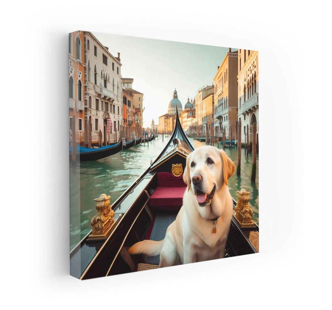 Labrador by Gondola: Venice Canal Journey