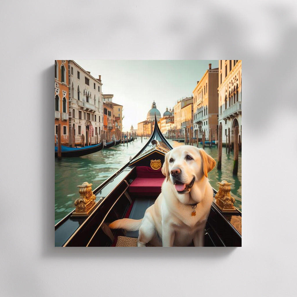 Labrador by Gondola: Venice Canal Journey