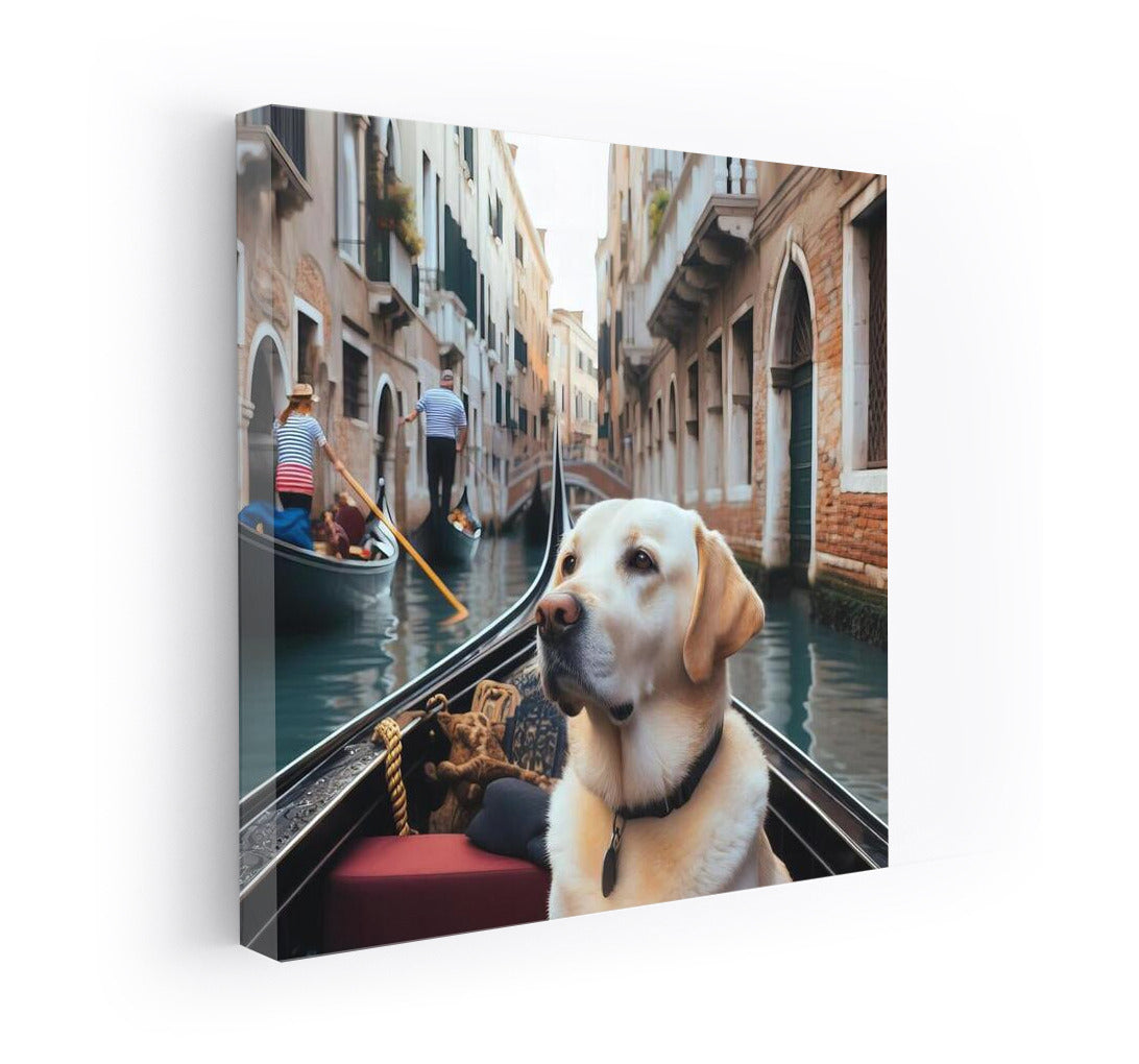 Labrador by Gondola: A Venetian Journey