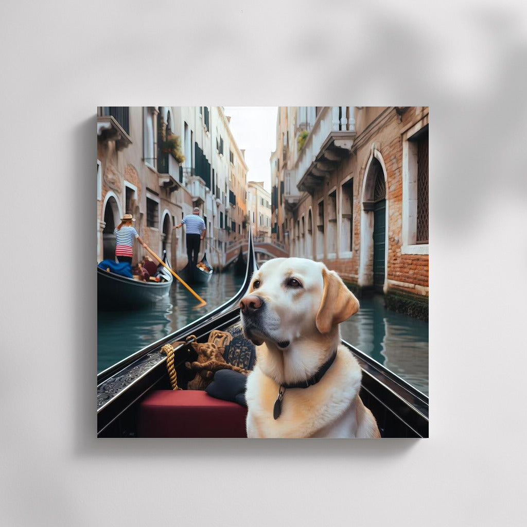 Labrador by Gondola: A Venetian Journey