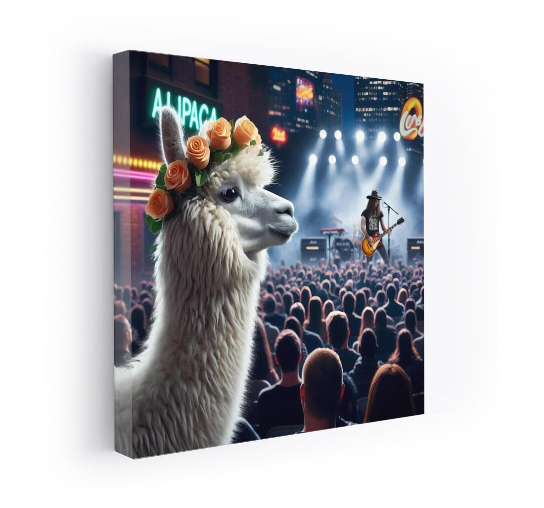 Alpaca's Concert Adventure at the Music Club