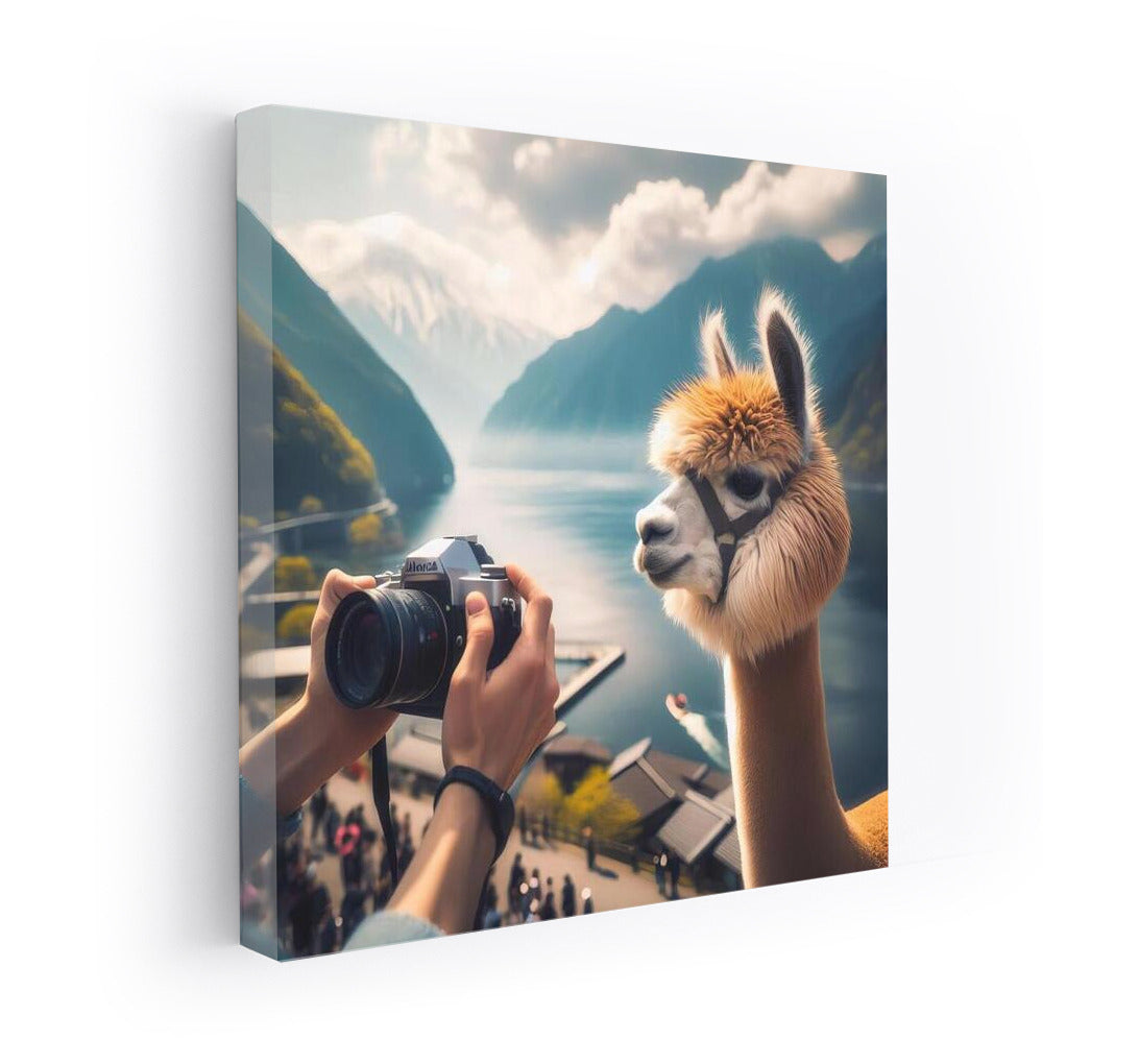 Japanese Adventures: Alpaca with a Camera