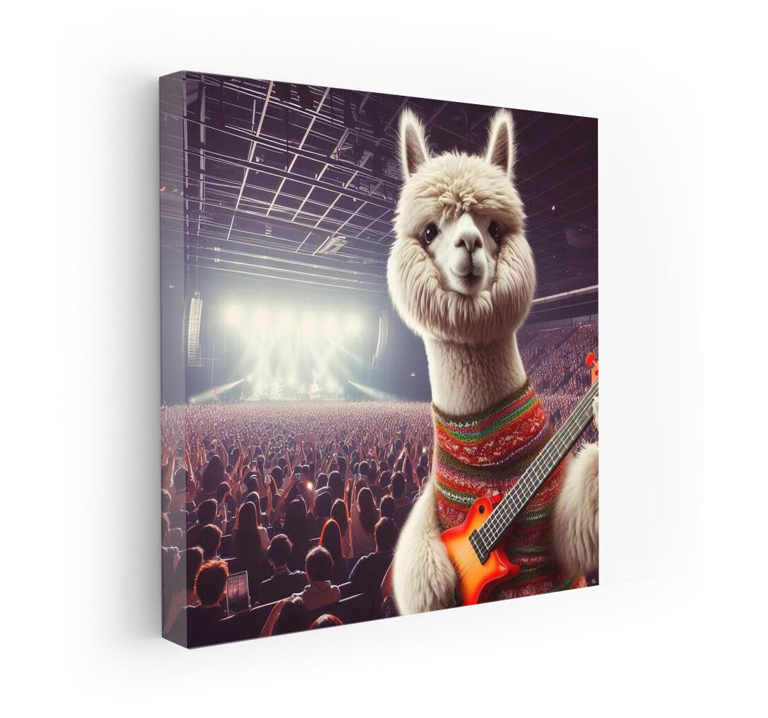 Concert Alpaca: Musical Show in Bright Colors