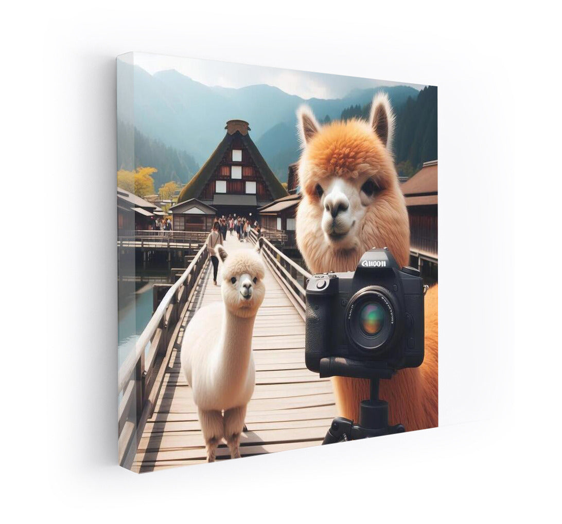 Alpacas in Japan: Camera, Scenery and Adventure