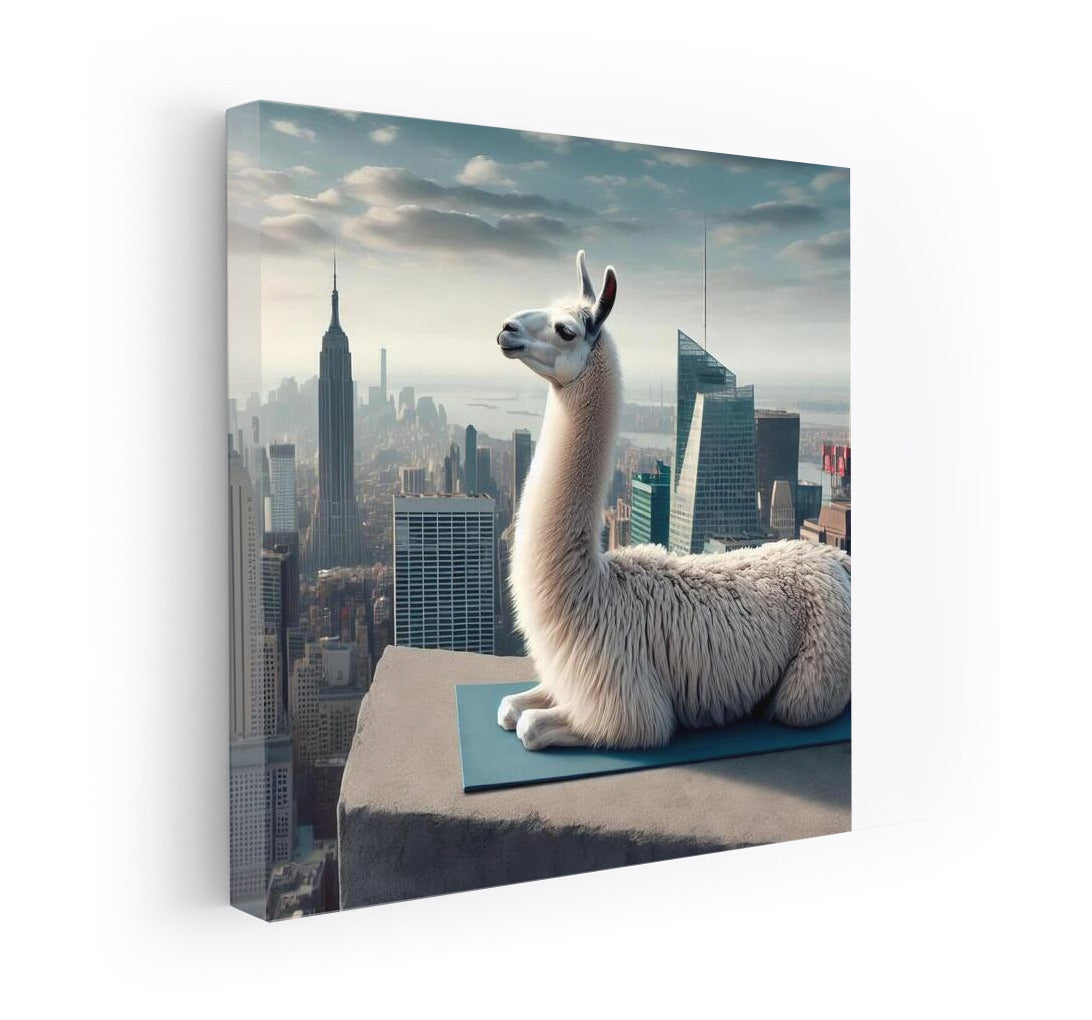 Yoga Lama on the Roof of a Skyscraper: Inspiration at Heights