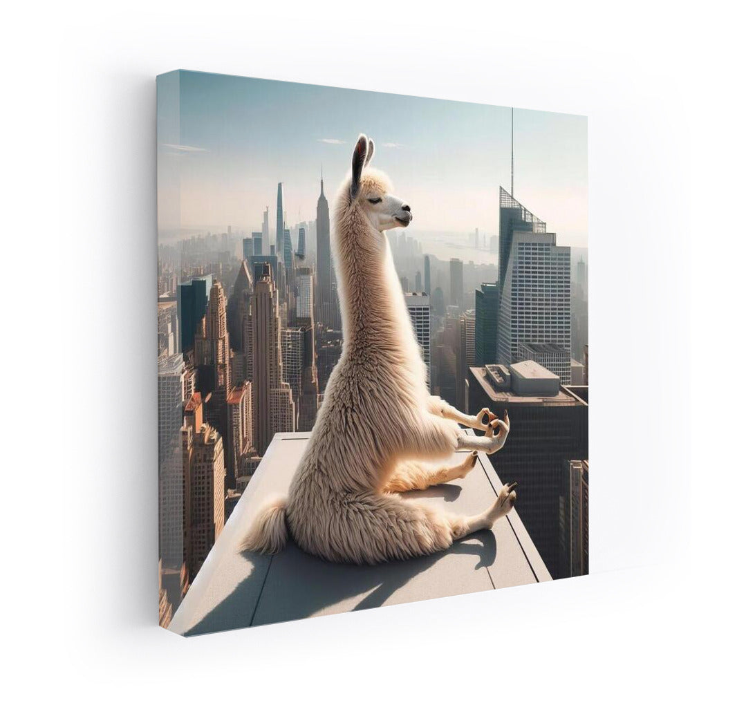 Yoga Lama on the Roof of a Skyscraper: Relax with Humor