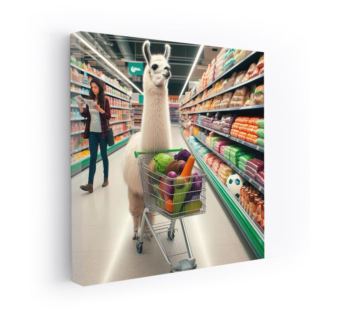 Llama Shopping: Supermarket Adventure
