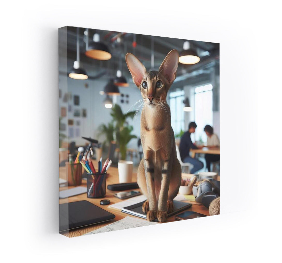 Cat Chic: Oriental Shorthair in Coworking