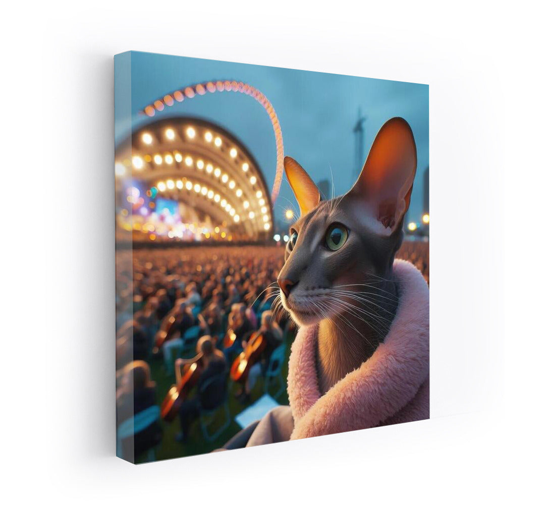 Oriental Shorthair Live Concert: Musical Delight for Cat Lovers