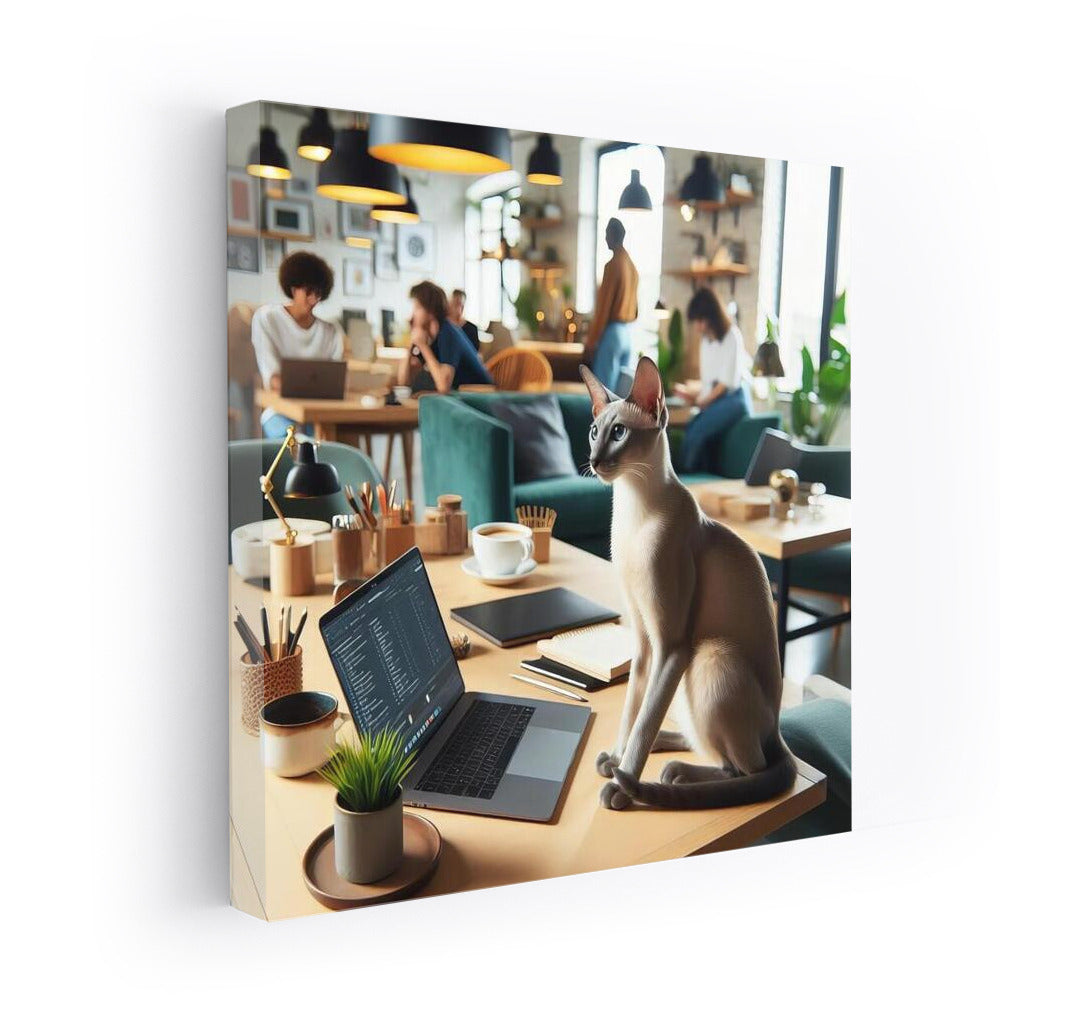 Oriental Cat in Coworking: Comfort and Productivity