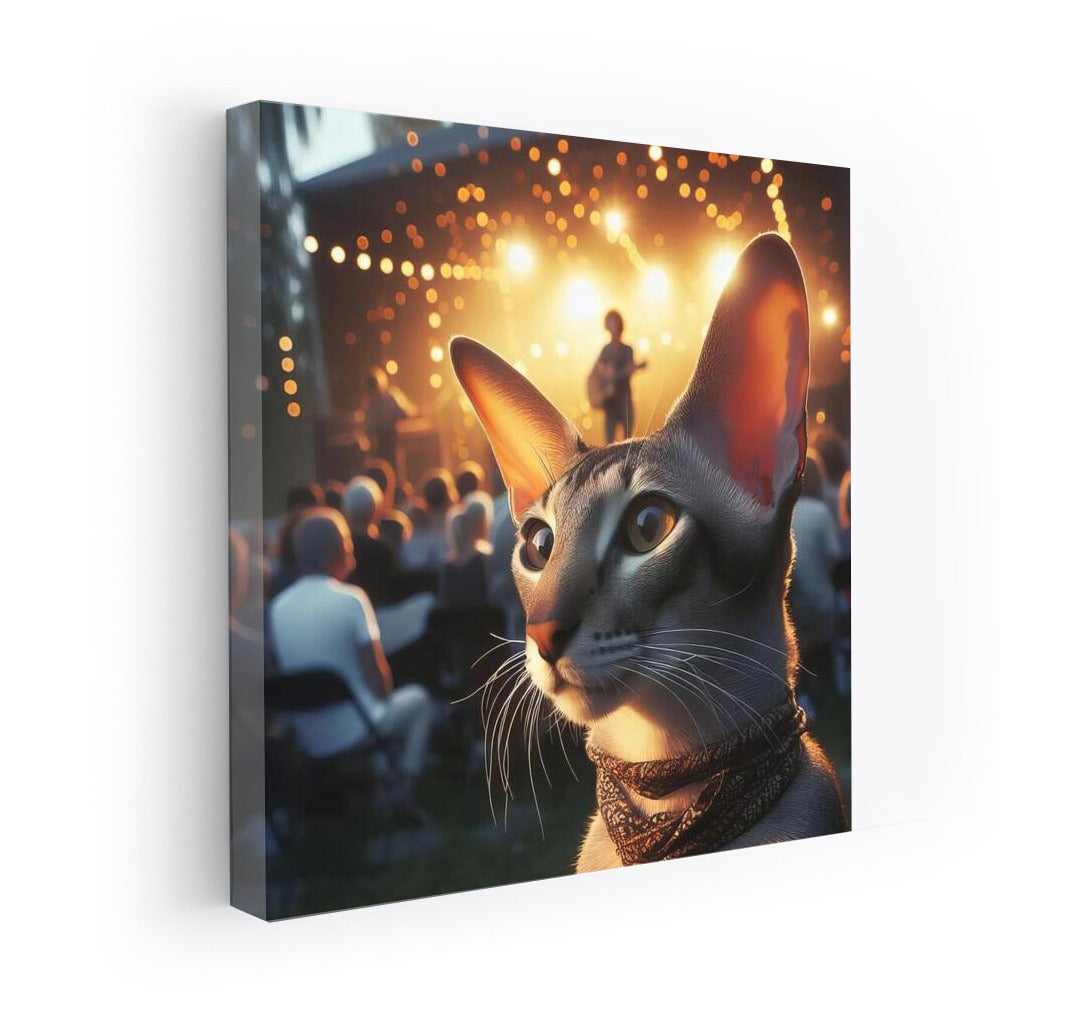 Oriental Shorthair Cat at Open Air Concert