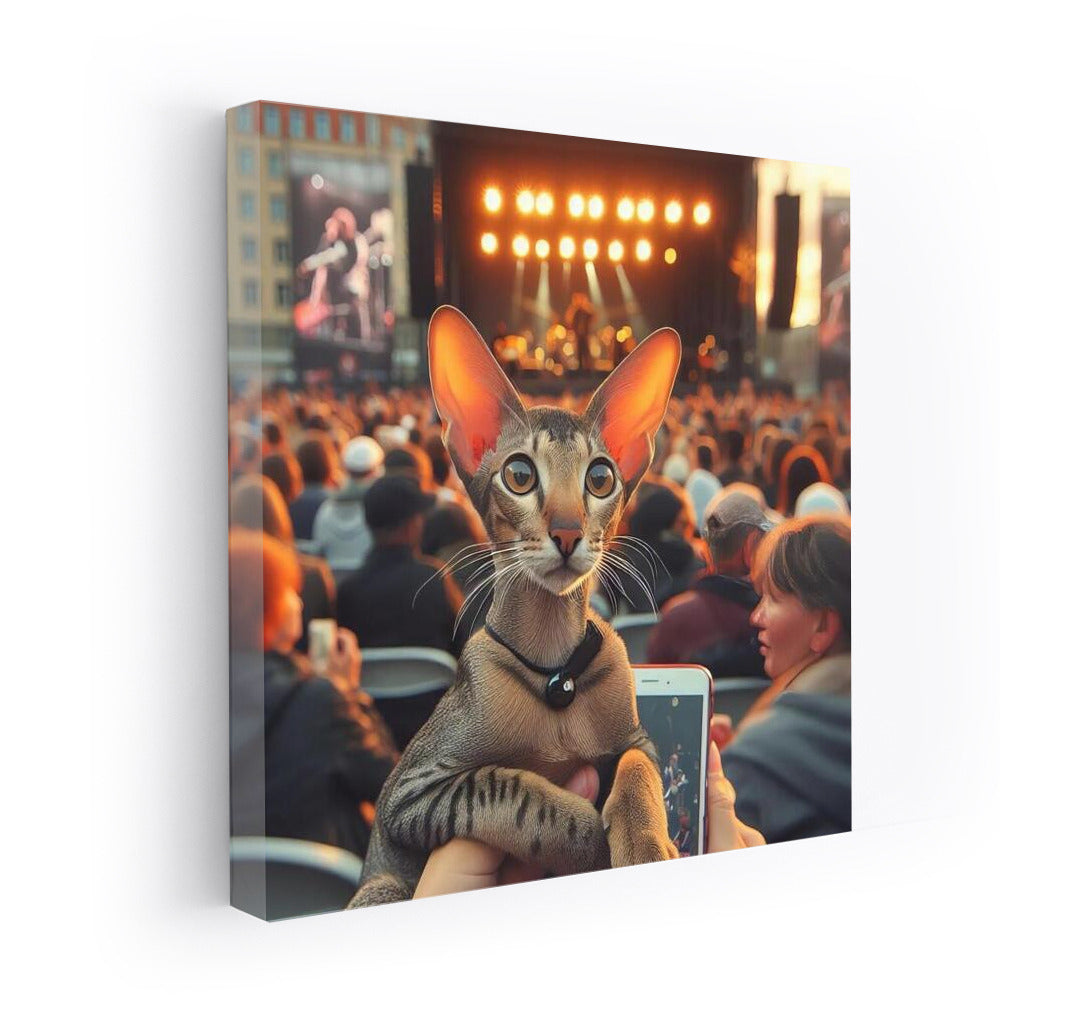 Oriental Shorthair at an Open Concert: Live Music and Feline Grace