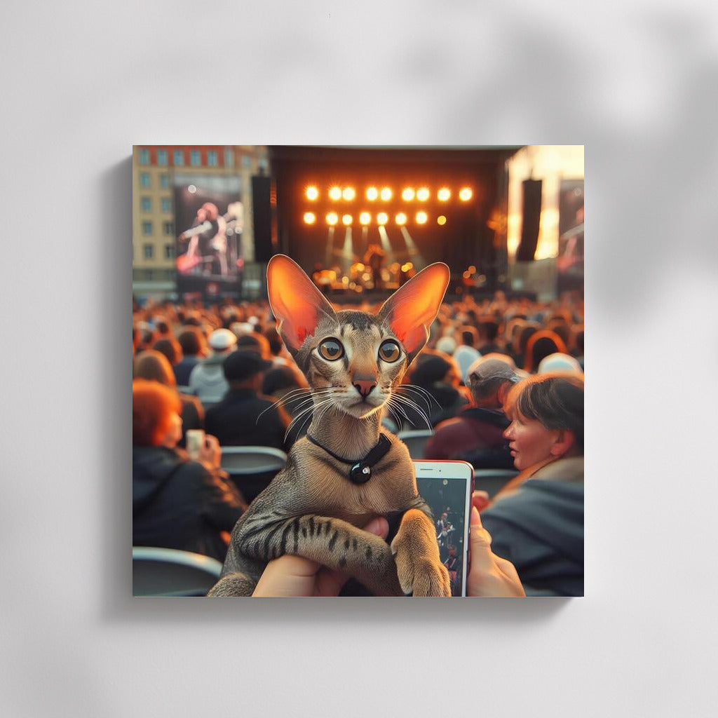 Oriental Shorthair at an Open Concert: Live Music and Feline Grace
