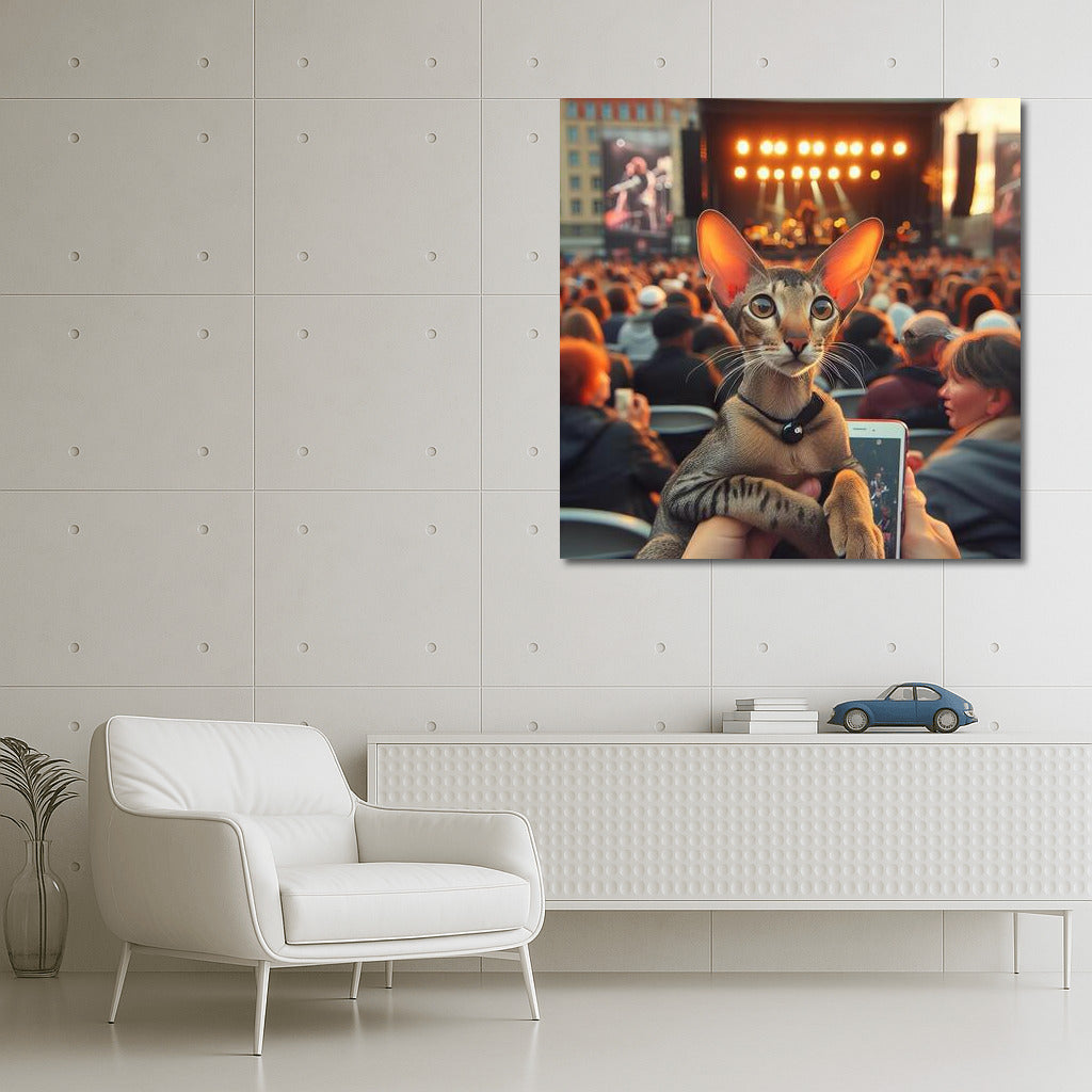 Oriental Shorthair at an Open Concert: Live Music and Feline Grace