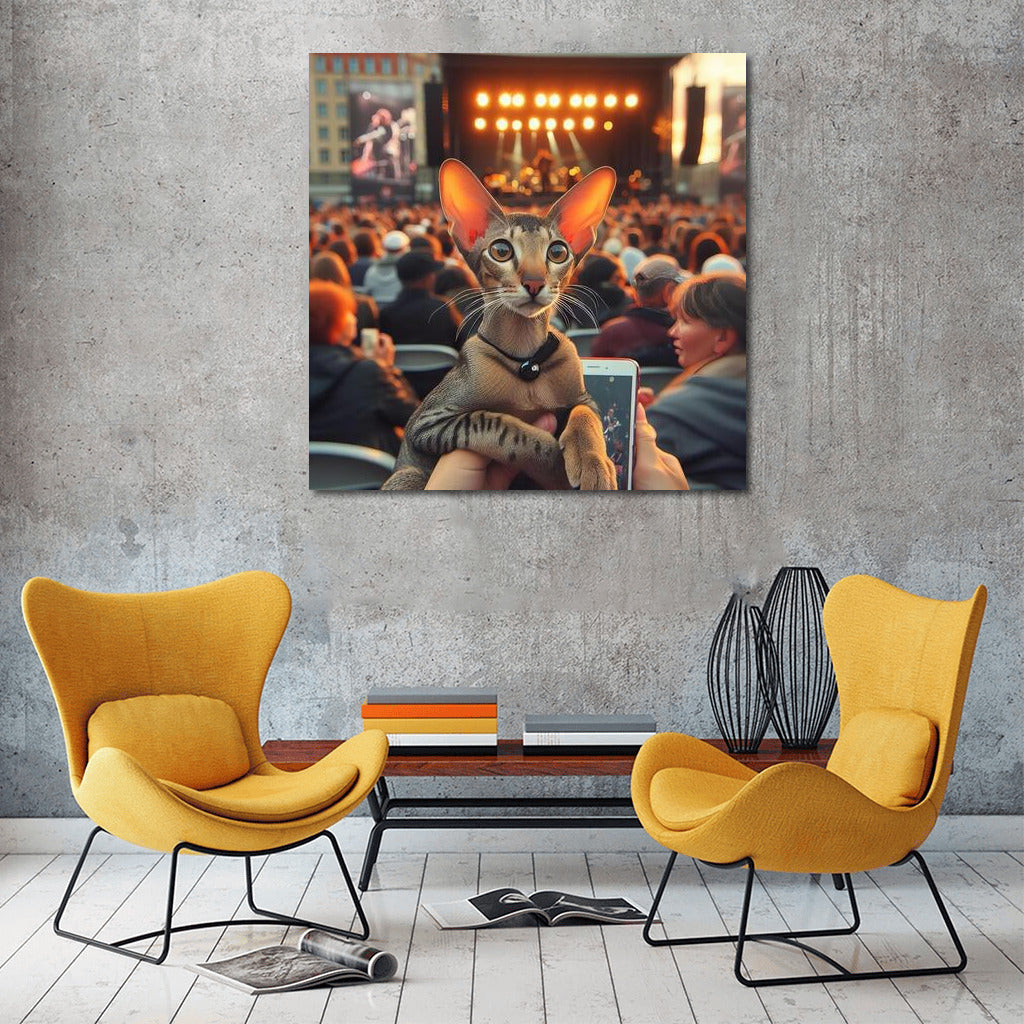 Oriental Shorthair at an Open Concert: Live Music and Feline Grace