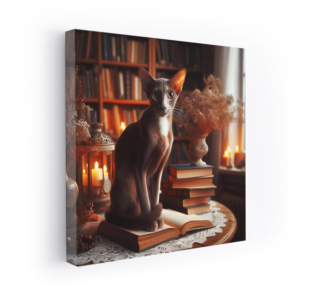Oriental Shorthair in Cozy Library: Warmth and Comfort for Your Home
