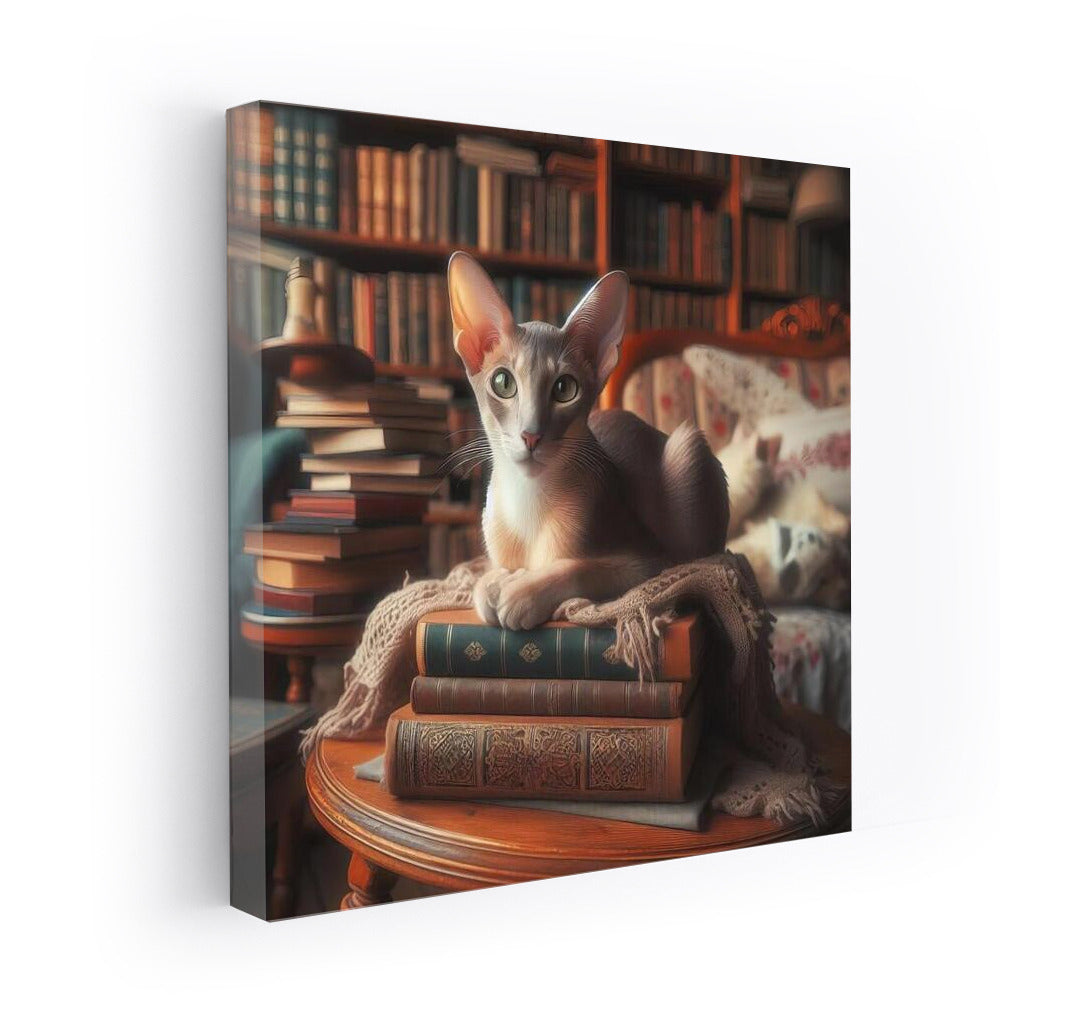 Oriental Cat in a Cozy Library: Elegance and Warmth