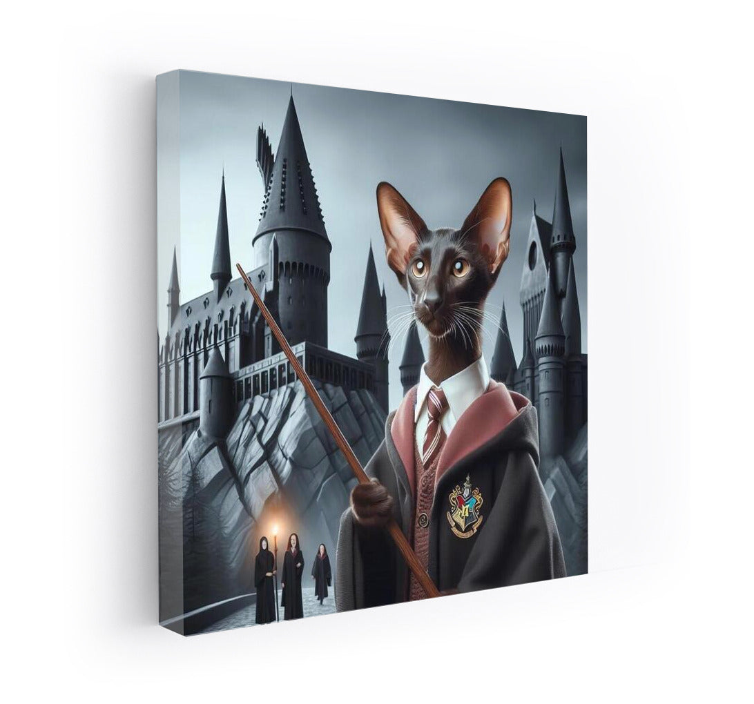 Oriental Cat in Harry Potter Style: Magic on the Wall