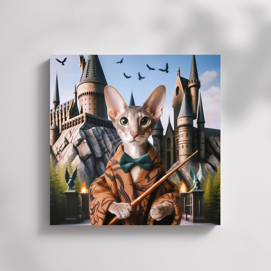 Oriental in Harry Potter's Hat: The Magic of School Adventures on the Wall