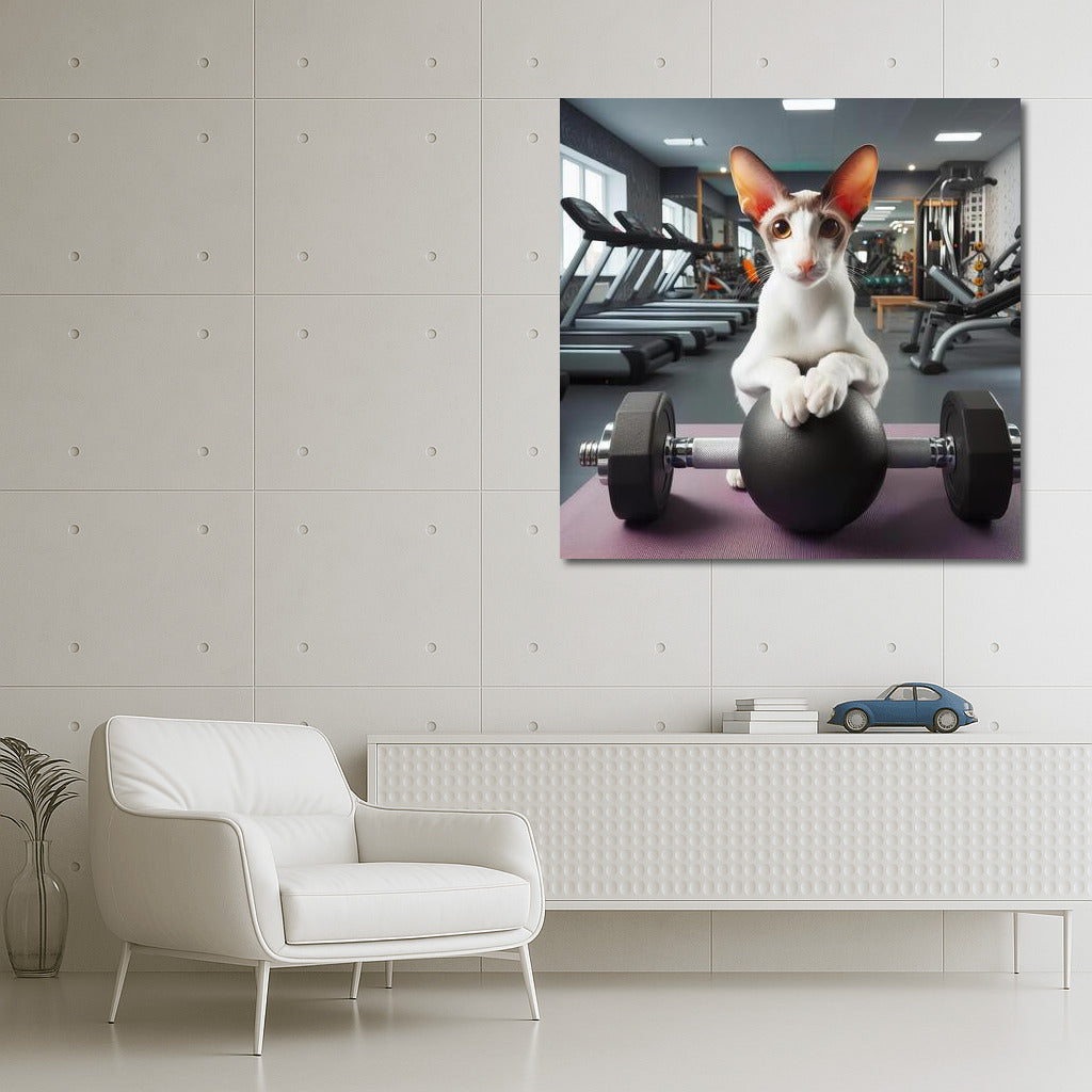 Fitness Cat: Oriental Shorthair in the Gym