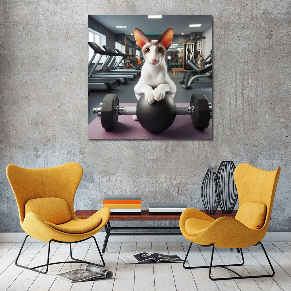Fitness Cat: Oriental Shorthair in the Gym