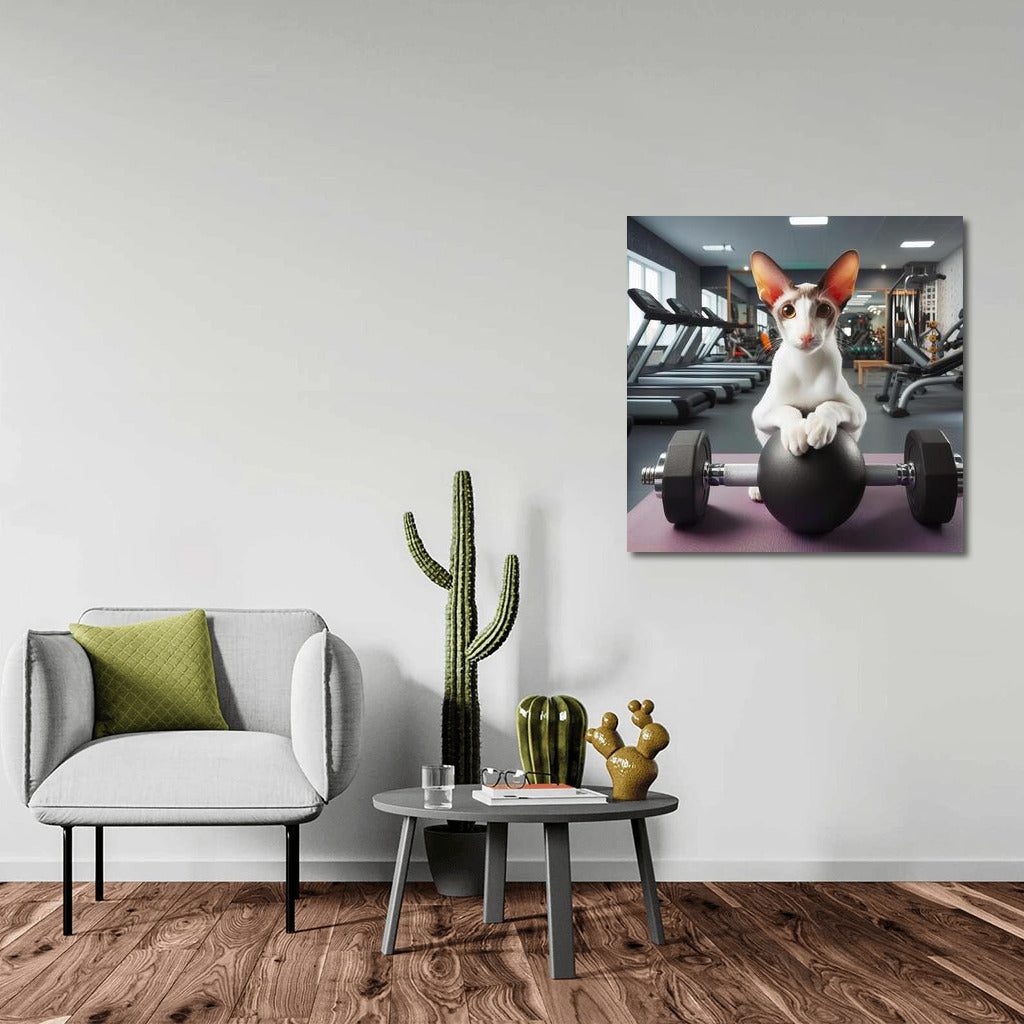 Fitness Cat: Oriental Shorthair in the Gym