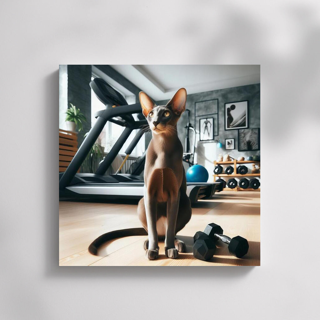 Grace Oriental Shorthair at the Fitness Room: Feline Charm on the Wall