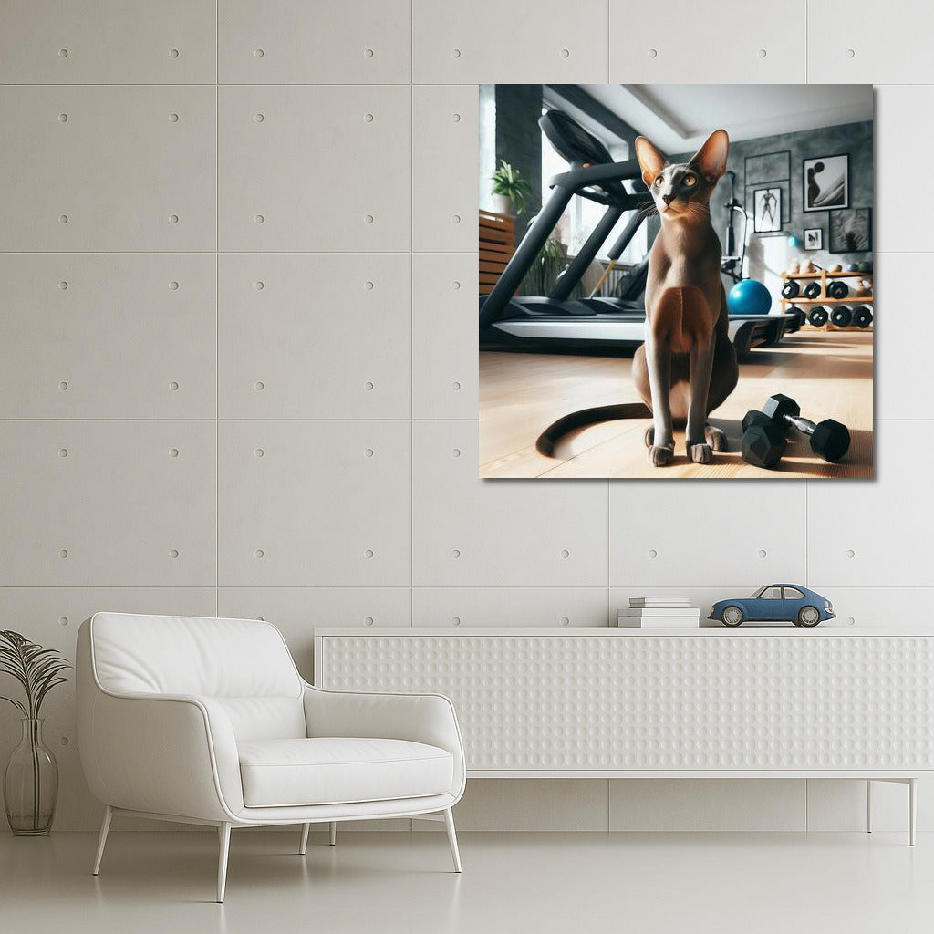 Grace Oriental Shorthair at the Fitness Room: Feline Charm on the Wall