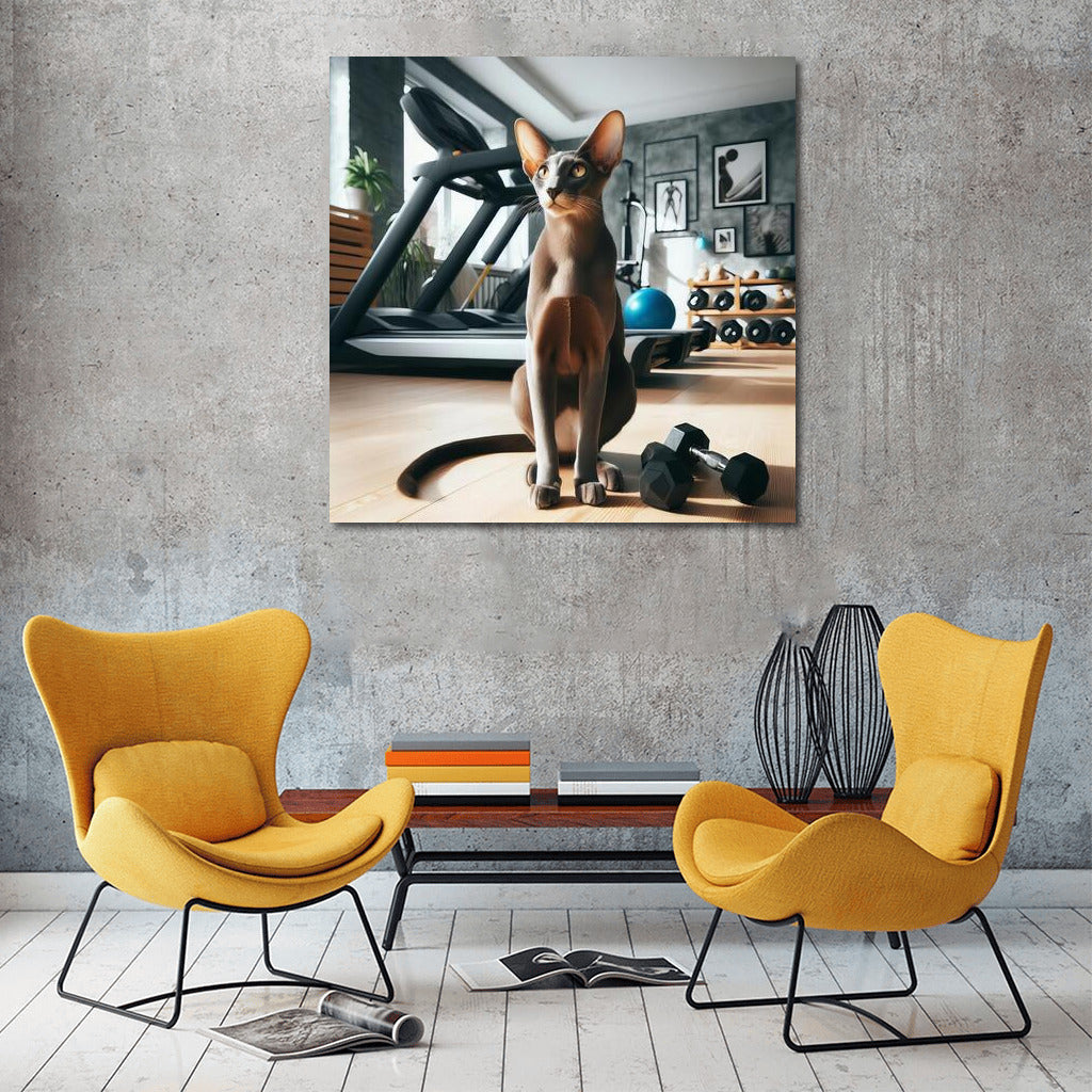 Grace Oriental Shorthair at the Fitness Room: Feline Charm on the Wall