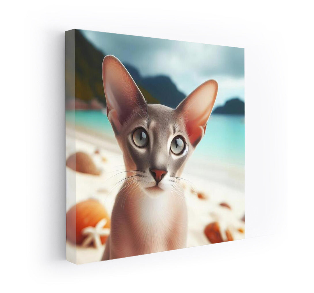 Oriental Cat on a Fashionable Beach: Dreams in the Sun