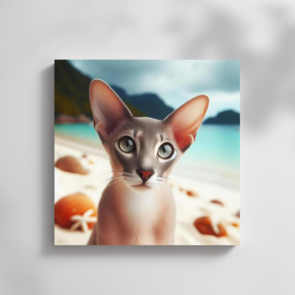 Oriental Cat on a Fashionable Beach: Dreams in the Sun
