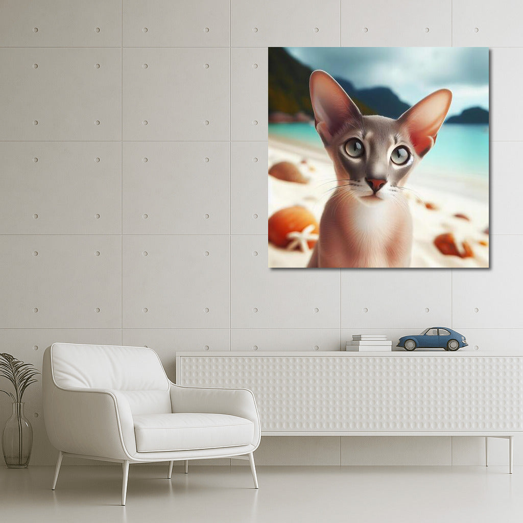 Oriental Cat on a Fashionable Beach: Dreams in the Sun
