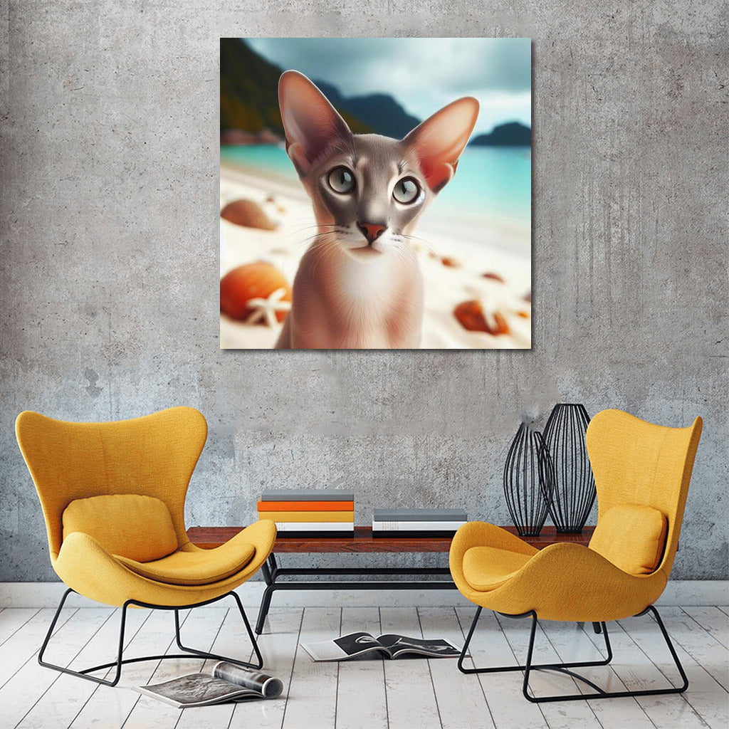 Oriental Cat on a Fashionable Beach: Dreams in the Sun