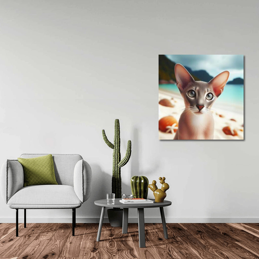 Oriental Cat on a Fashionable Beach: Dreams in the Sun