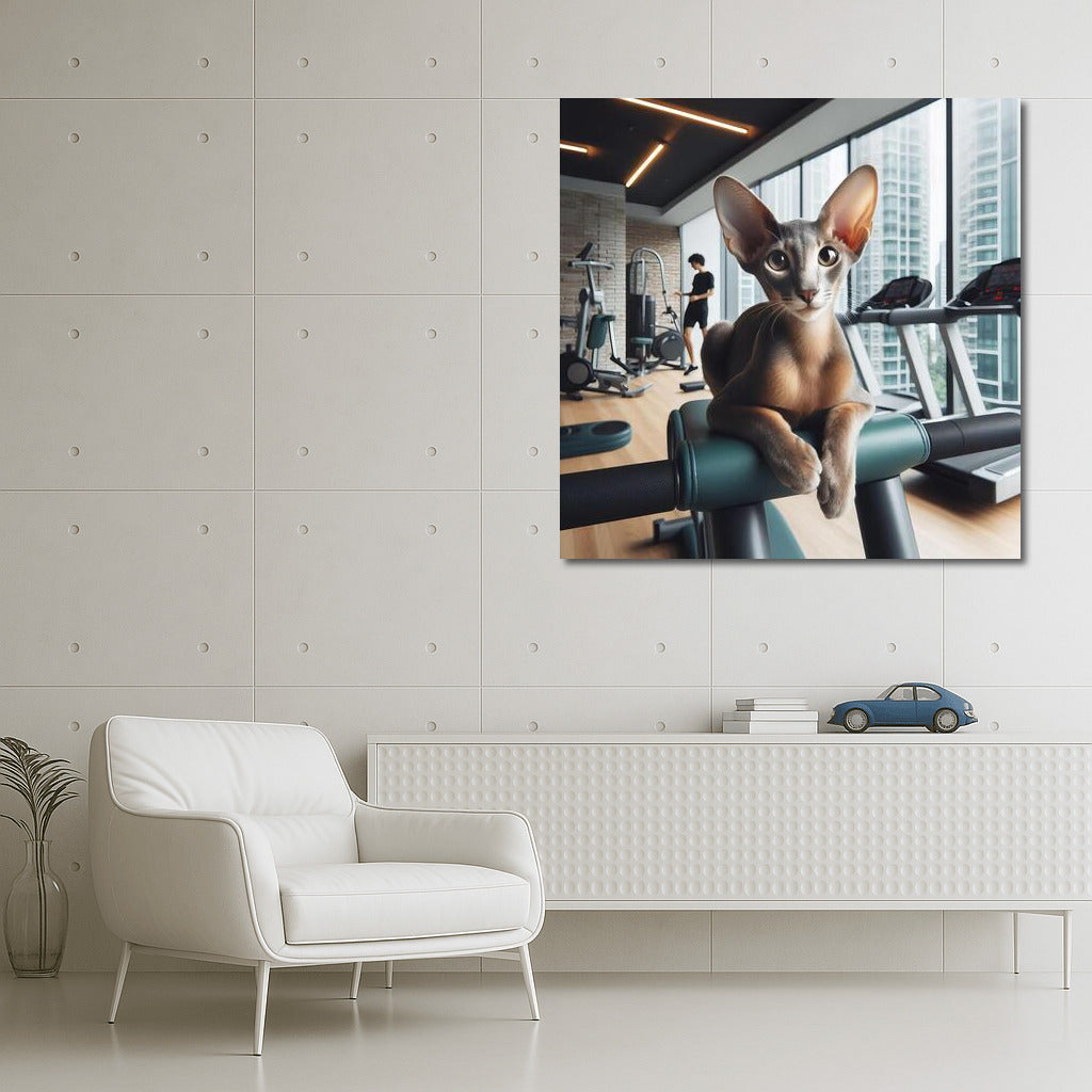 Fitness Cat: Oriental Shorthair Grace in the Gym