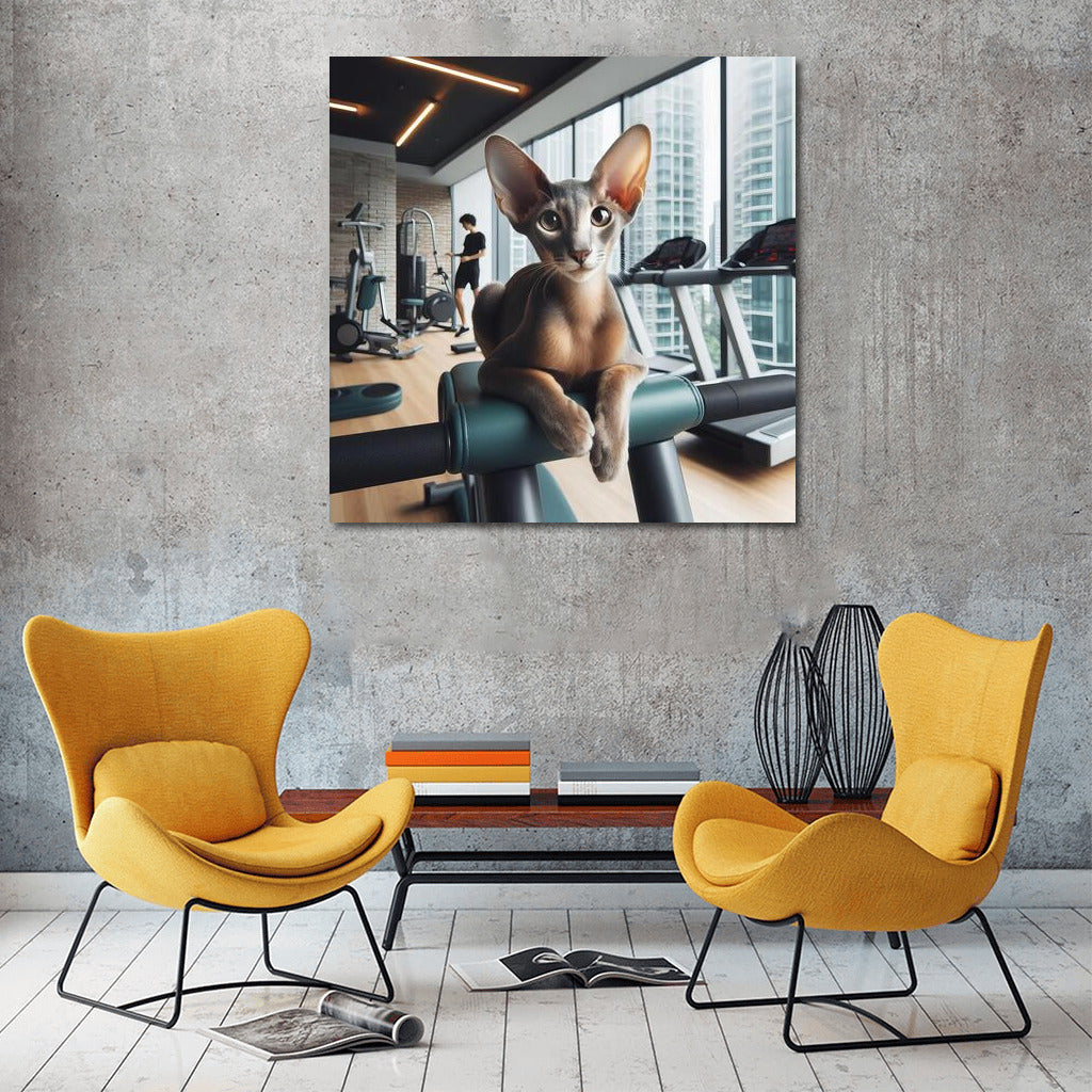 Fitness Cat: Oriental Shorthair Grace in the Gym