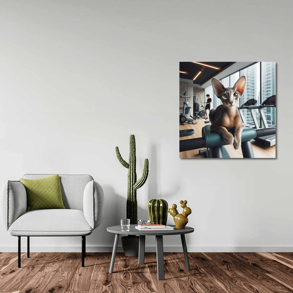 Fitness Cat: Oriental Shorthair Grace in the Gym